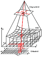 Schema