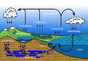 Wasserkreislauf